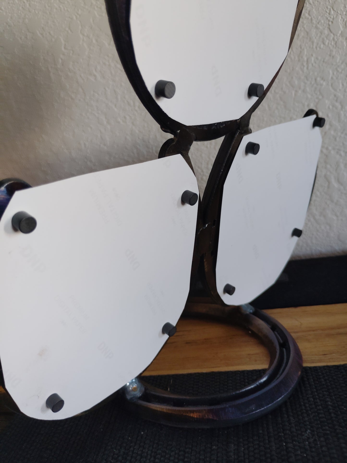 Horseshoe Picture Frame - ( 3 picture version)