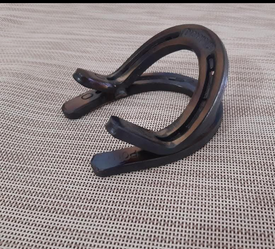 Horseshoe Business Card Holder
