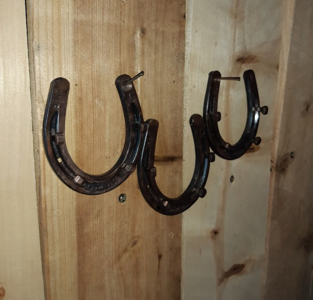 Horseshoe Wall Hanging Jewelry Holder Hanger