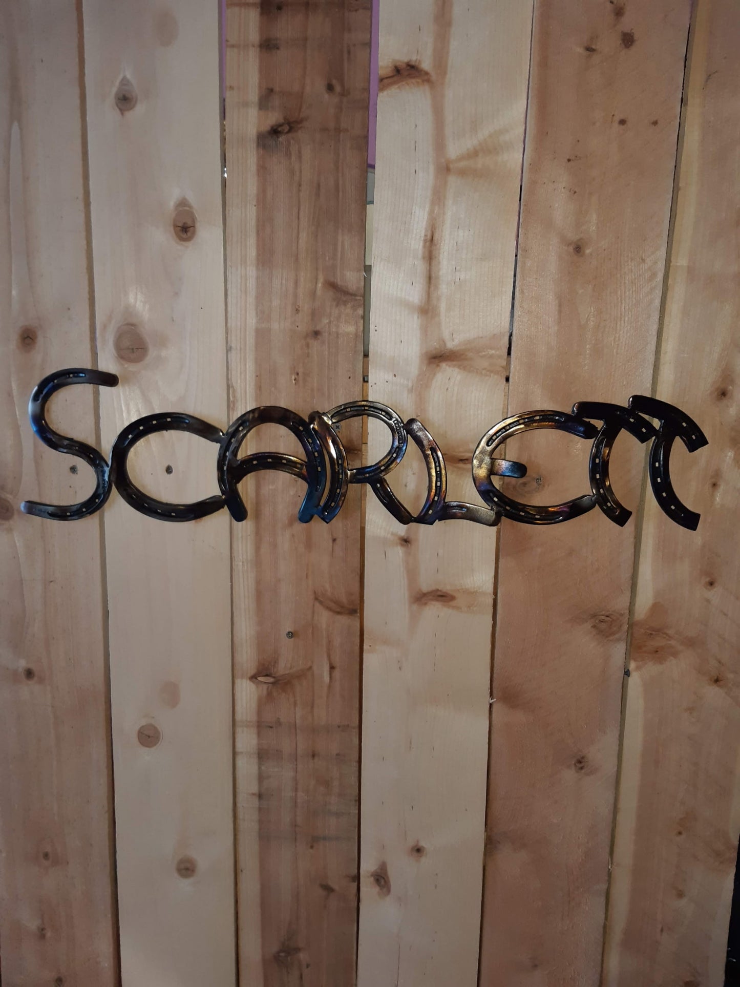 Personalized Custom Hanging Horseshoe Letter / Words / Names