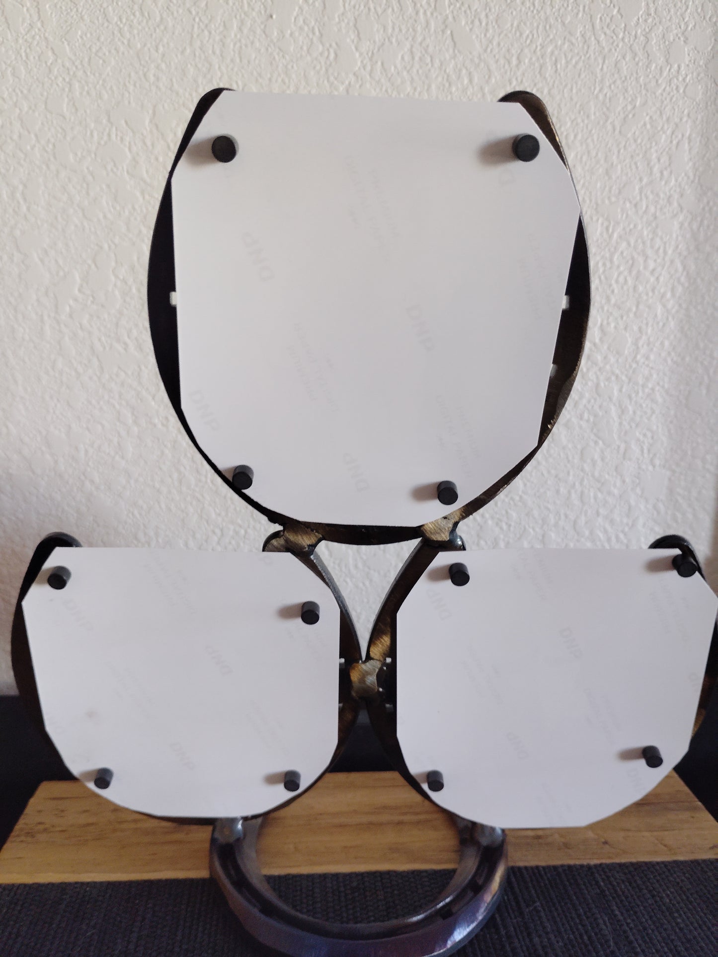 Horseshoe Picture Frame - ( 3 picture version)
