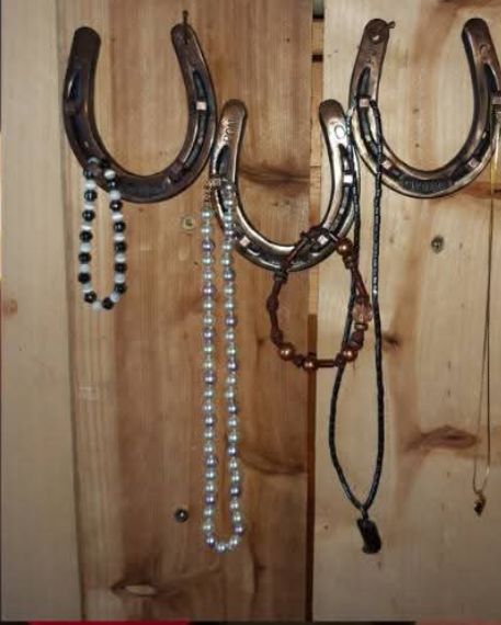 Horseshoe Wall Hanging Jewelry Holder Hanger