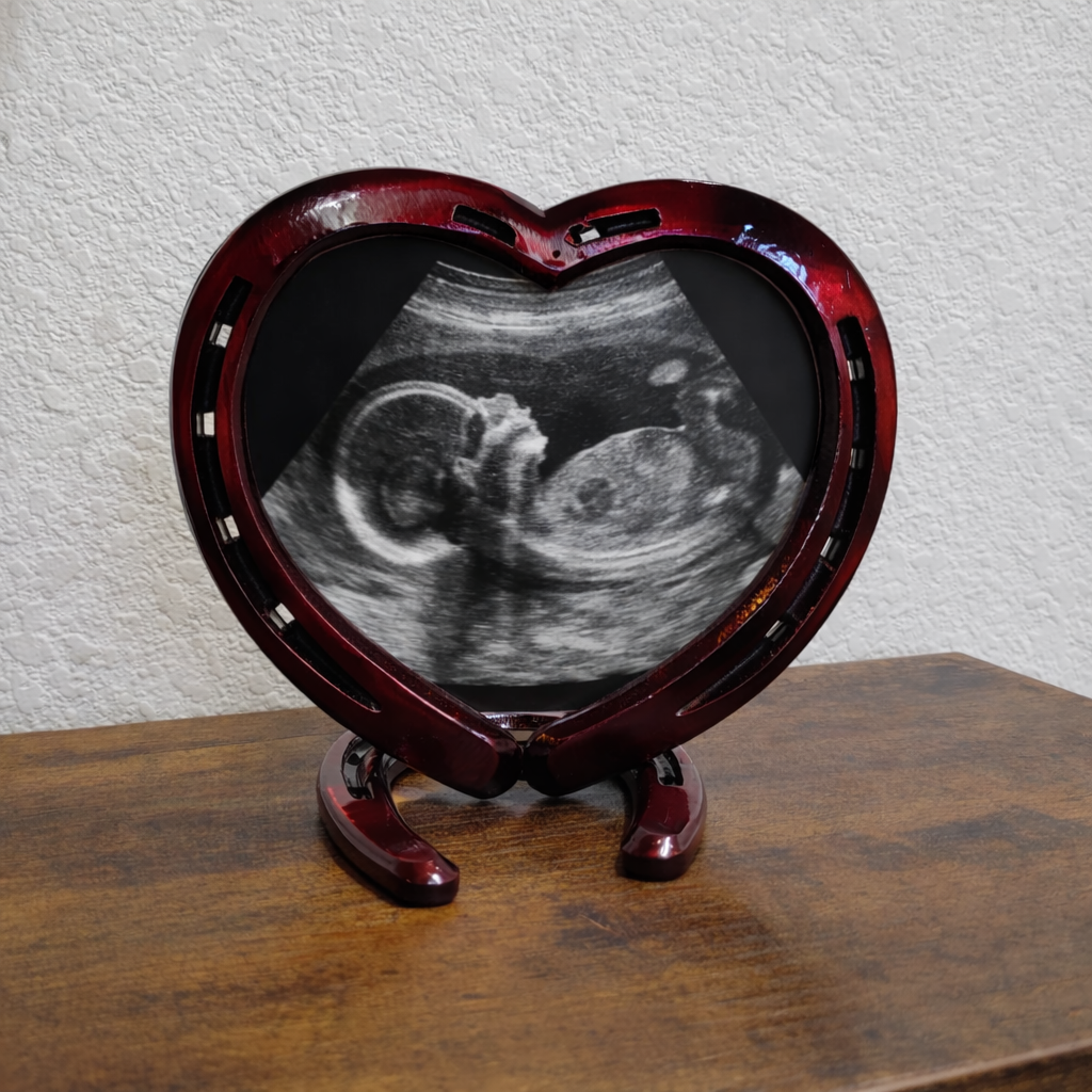 Candy Apple Red Horseshoe Heart Picture Frame (one photo)