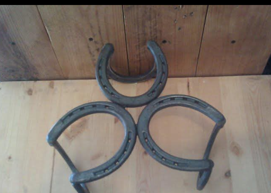 Horseshoe Plant Stand